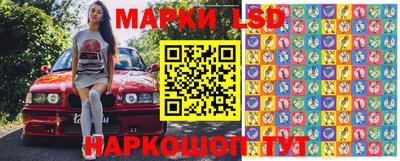 гидра Волгодонск
