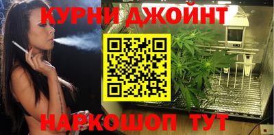 гидра Волгодонск