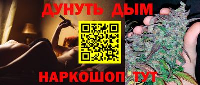 гидра Волгодонск