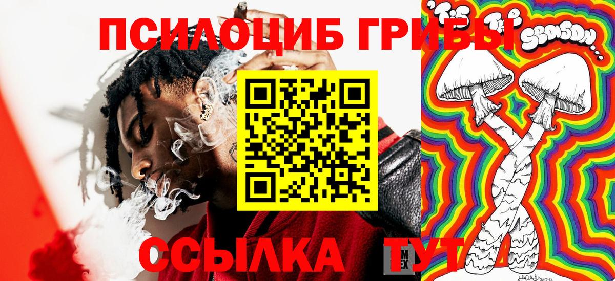 Псилоцибиновые грибы прущие грибы  Вход с VPN  Богородицк 